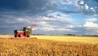 Harvesting a crop with a harvester