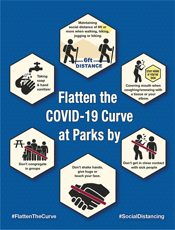 Flatten the COVID-19 Curve